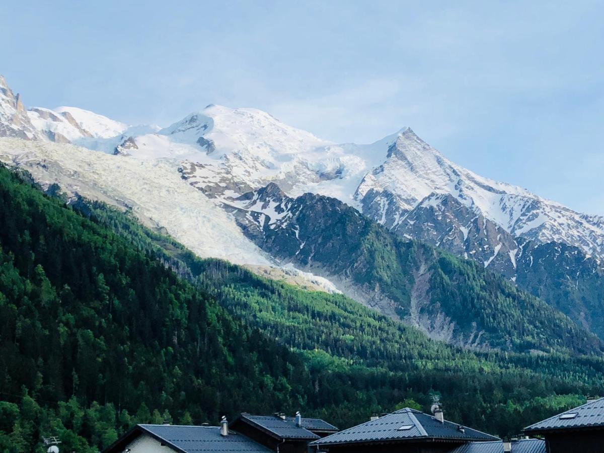 Mont Blanc 43, Vue Mont Blanc , Balcon, Parking Apartment Chamonix Exterior photo