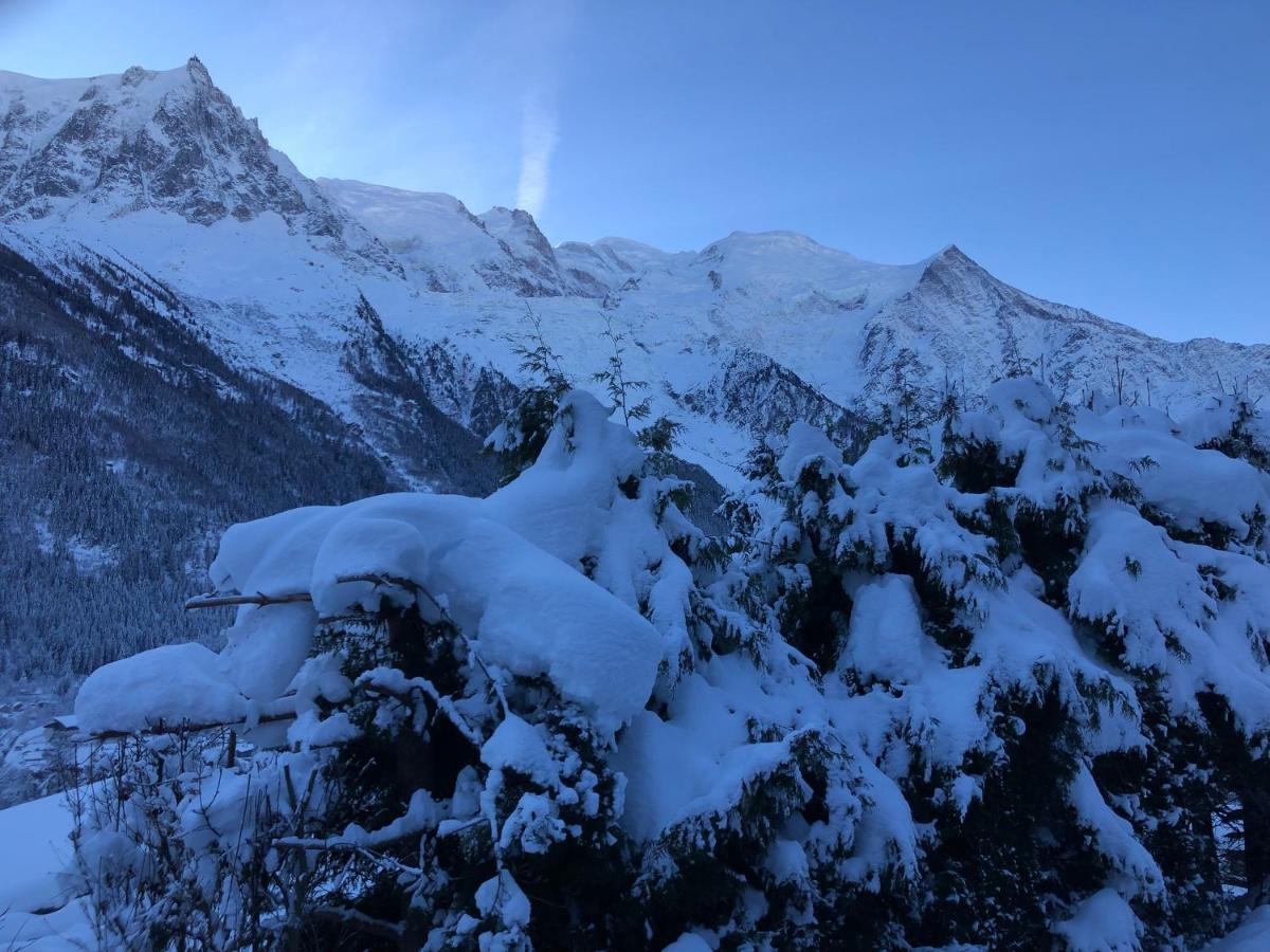 Mont Blanc 43, Vue Mont Blanc , Balcon, Parking Apartment Chamonix Exterior photo